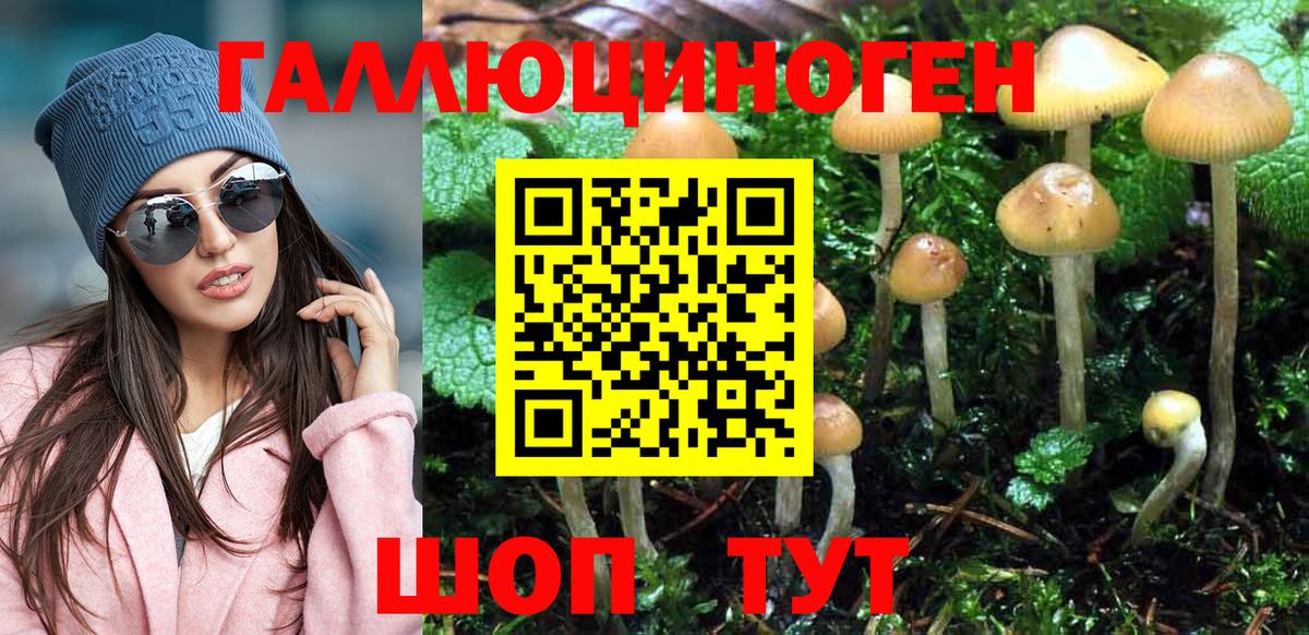 Кисловодск  Псилоцибиновые грибы GOLDEN TEACHER  Вход с VPN 